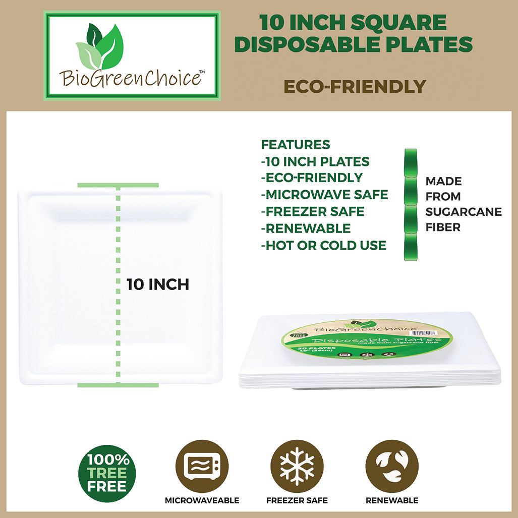 Eco friendly Sugarcane Fiber Square paper plate 10 inch