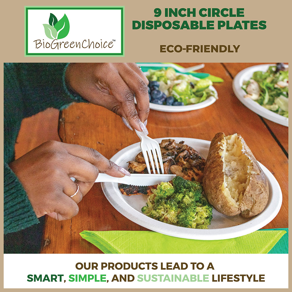 Disposable Plates Biodegradable: The Eco-Conscious Choice
