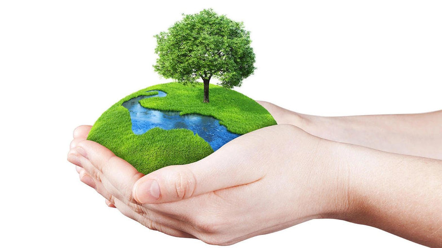 Happy World Environment Day!