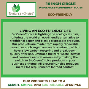 10 Square Plate – BioGreenChoice